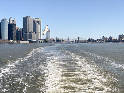 Coffret cadeau Visite guidée d'Ellis Island et de la statue de la Liberté à New-York