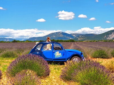 Coffret Balade vintage en 2 CV dans les champs de lavande et visite de distillerie