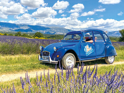 Coffret cadeau Balade vintage en 2 CV dans les champs de lavande et visite de distillerie