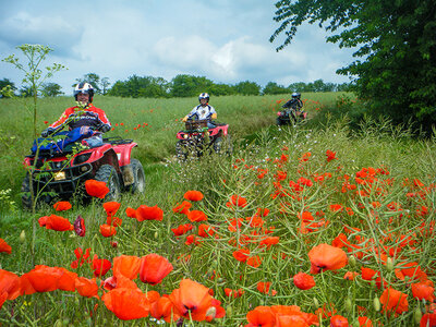 Coffret cadeau Demi-journée d'excursion en quad à la découverte des joyaux de Chantilly