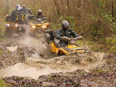 Demi-journée d'excursion en quad à la découverte des joyaux de Chantilly