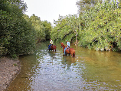 In sella per la Maremma: esclusiva passeggiata a cavallo di 2 ore per 2 persone