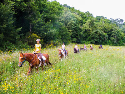 Cofanetto regalo In sella per la Maremma: esclusiva passeggiata a cavallo di 2 ore per 2 persone