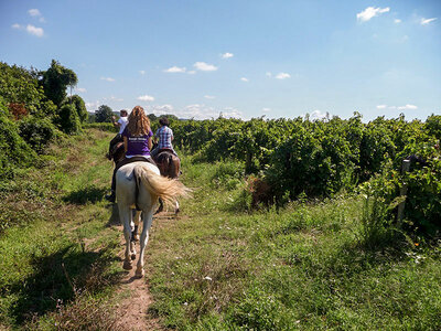 Equitazione in Toscana: passeggiata a cavallo con lezione introduttiva di 3 ore per 2