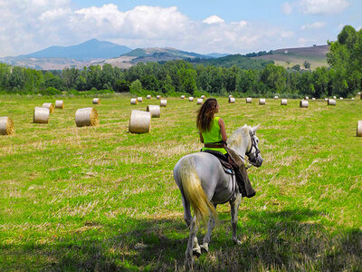 Cofanetto Equitazione in Toscana: passeggiata a cavallo con lezione introduttiva di 3 ore per 2