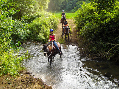 Tutti in sella in Toscana: passeggiata a cavallo di 1h con lezione introduttiva per 4