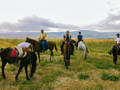 Cofanetto regalo Tutti in sella in Toscana: passeggiata a cavallo di 1h con lezione introduttiva per 4