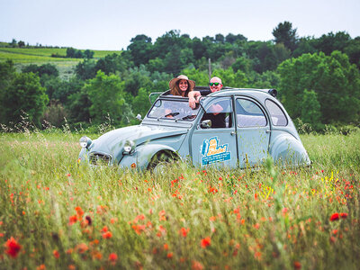 Balade romantique en 2 CV sur fond de coucher de soleil en Provence