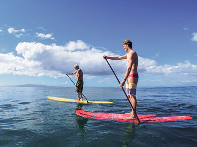 Caja Diversión entre olas: actividad de paddle surf de 1 hora o más para 2 personas