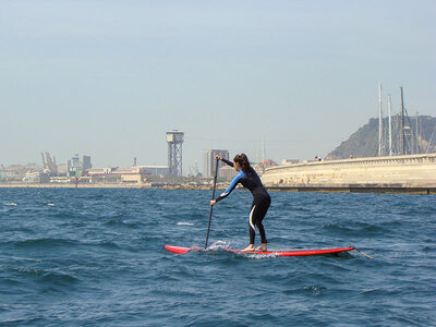 Diversión entre olas: actividad de paddle surf de 1 hora o más para 2 personas