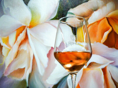 Friuli da bere: una pregiata selezione di 3 vini DOC Friuli Colli Orientali a domicilio