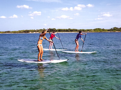 Paddle surf: 1 sesión de 1 hora o más para 1 persona