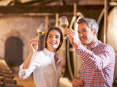 Tentazioni toscane: visita in cantina con degustazione di 3 vini e pranzo vicino a Firenze