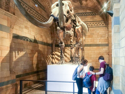 Coffret Visite guidée du musée d'histoire naturelle de Londres en duo