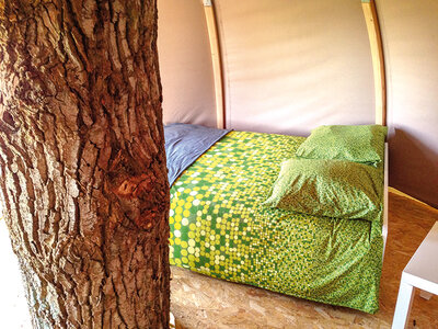 Coffret Escapade insolite en cabane dans les arbres en Normandie