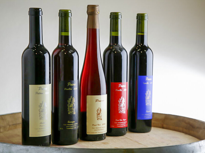 10L EBTOOLS Tonneau de Vin en Bois de Chêne avec Support Récipient pour Vin Fût à Vin pour Stockage de Vins Pratique Durable 3L 10 L 5L 