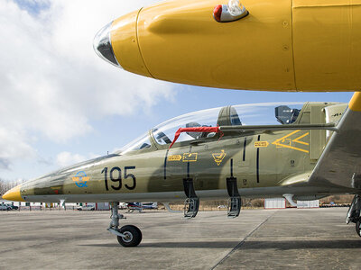 Coffret Vol de 20 minutes dans un avion de chasse L-39 Albatros en République tchèque