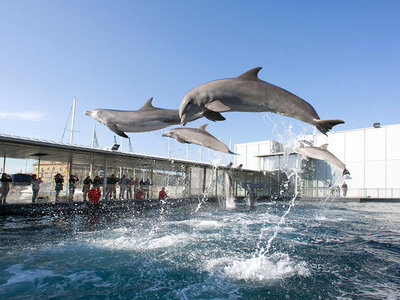 In famiglia all'Acquario di Genova: 1 ingresso con pranzo incluso per 2 adulti e 2 bambini