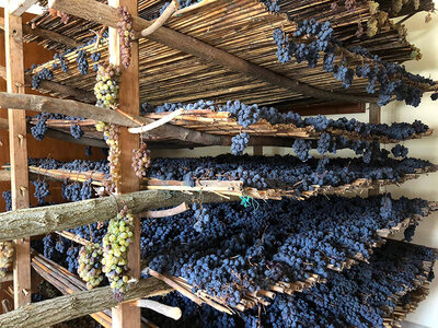 Montepulciano da vivere: 2 notti con degustazione di vini e visita alla cantina