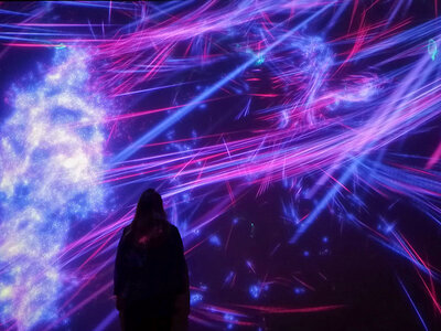 Cofanetto Sulle emozioni de Il Bardo: ingresso allo Shakespeare Interactive Museum di Verona per 2