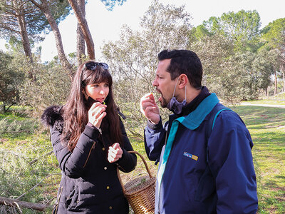 Caja Paseo silvestre gastronómico con Escuela de Actividades Naturales