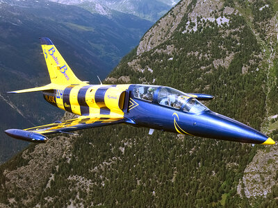 Vol de 30 minutes sur avion de chasse L-39 Albatros au-dessus des Alpes suisses