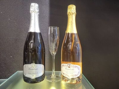 Cofanetto Selezione Spumante metodo classico italiano con flûte da degustazione a domicilio