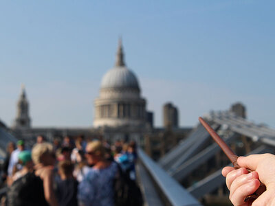 Eulen, Muggel und Butterbier: Harry Potter® Tour in London für 2