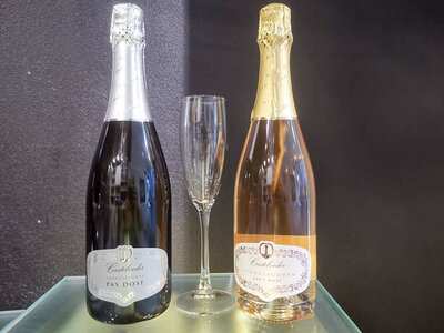 Elegante selezione di 6 vini a scelta: bianchi, rossi o frizzanti