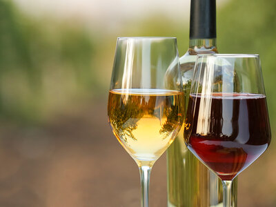 Cofanetto 3 bottiglie di vino DOC del Trentino Alto Adige direttamente a casa tua