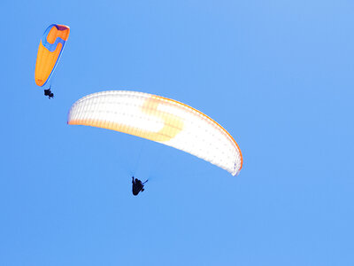 Vol sensationnel en parapente en tandem au-dessus du massif des Diablerets