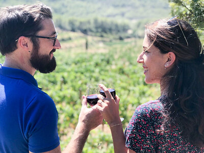Coffret Visite œnologique : 3 communes classées AOC Bandol et 2 domaines avec dégustation