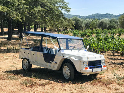 Coffret Balade œnologique sur 3 communes classées AOC Bandol et dégustation de vins