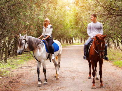 Caja Aventura con sabor: Ruta a caballo y visita con cata a un viñedo para 2 personas