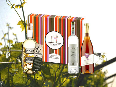 Cofanetto regalo Spedizione di 3 pregiate Grappe del Trentino a domicilio con Trentiner