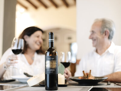 Blanca Terra: visita a museo, bodega y cata de vinos con chocolate