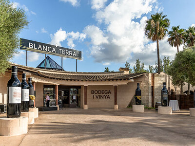 Caja regalo Visita al museo y bodega Blanca Terra con maridaje de queso y vino