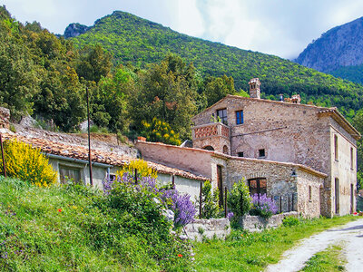 Cofanetto Agriturismi d'Italia: rilassante evasione di 1 notte con colazione