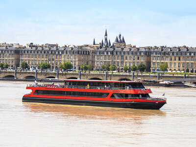 Croisière sur la Garonne avec dégustation de vins et délices locaux