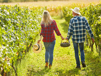 Coffret cadeau Rêves étoilés en Toscane : 2 nuits magiques avec soupers dans un luxueux hôtel 4*