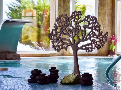 Acceso al circuito termal en Spa Sensara Costa del Sol