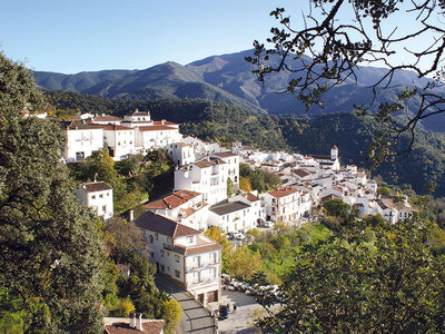 1 noche, cena y taller con cata de setas en La Posada del Recovero