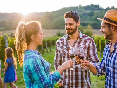 Caja regalo Escapada entre viñas: 1 noche con visita a bodega y cata de vinos