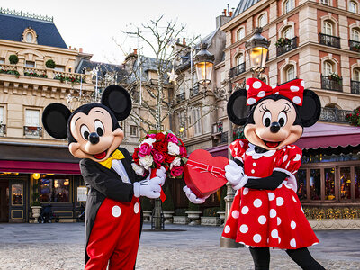 Cofanetto regalo Nel mondo delle favole: 2 biglietti data a scelta 1 giorno per 1 Parco Disney® a scelta