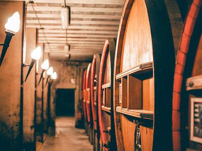 Dégustation de 5 vins et visite de cave à Châteauneuf-du-Pape