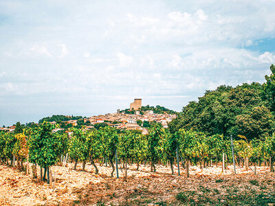 Coffret cadeau Dégustation de 5 vins et visite de cave à Châteauneuf-du-Pape