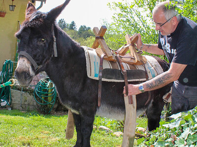 Coffret Promenade à dos d’âne avec kit fondue ou panier pique-nique près d’Yverdon-les Bains