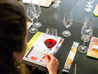 Coffret Cours d’œnologie de 2h pour explorer le monde du vin avec ProDégustation