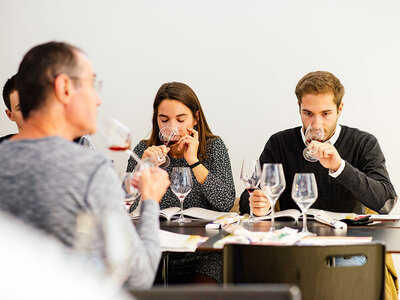 Coffret Cours d’œnologie de 4h pour maîtriser les incontournables du vin avec ProDégustation