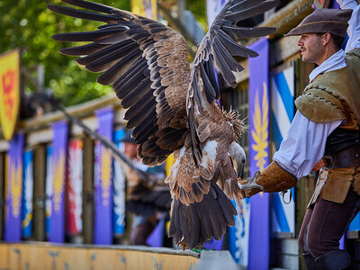 Billet Puy du Fou 2025 - 2 jours pour 1 enfant